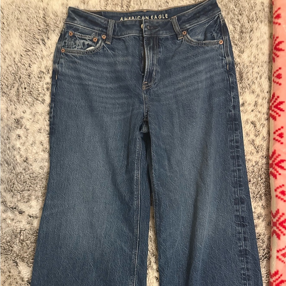 American Eagle Outfitters Low Rise Baggy Wide Leg Jeans